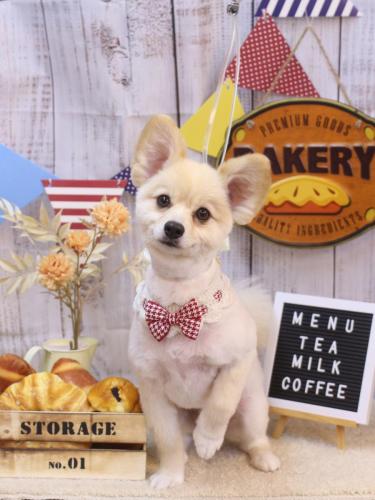 20240918ぽんずくん